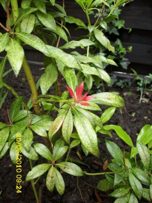 DSCI0750.JPG