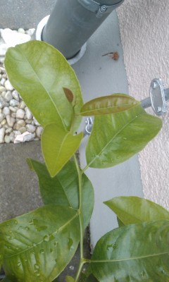 IMAG0168.jpg