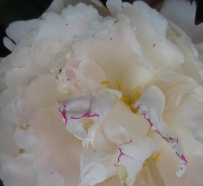20100620_0001_1.JPG