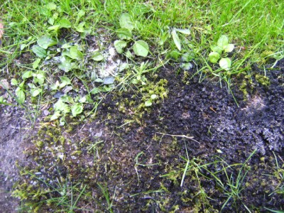 PICT0054.JPG