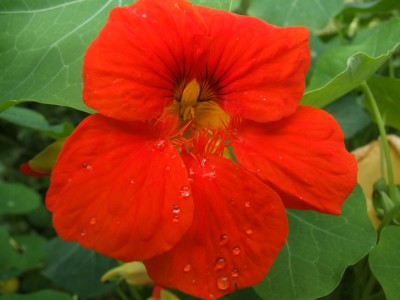 DSCF7521.JPG