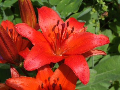 DSCF7493.JPG