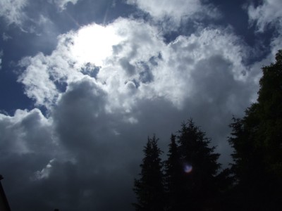 DSCF7498.JPG