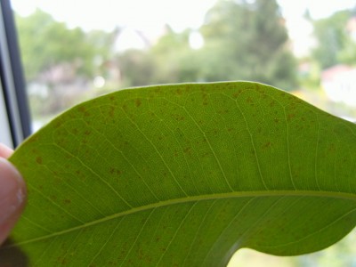 S1030837.JPG