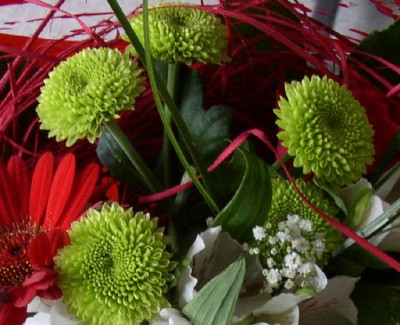 P1010018_01.jpg