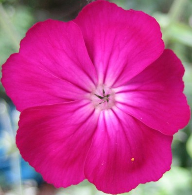 20100613_0001_6.JPG