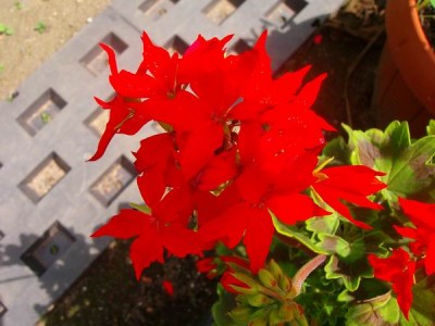 100D9420.JPG
