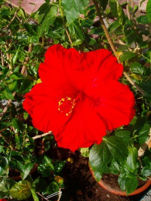 100D9345.JPG