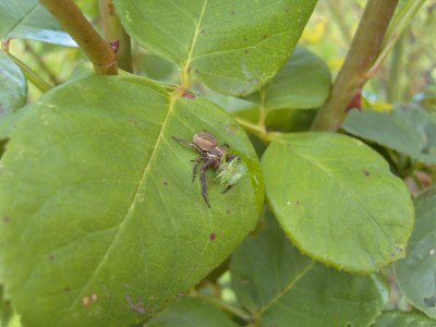 S1030188.JPG