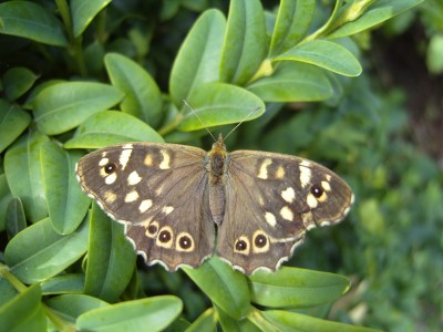 S1030218.JPG