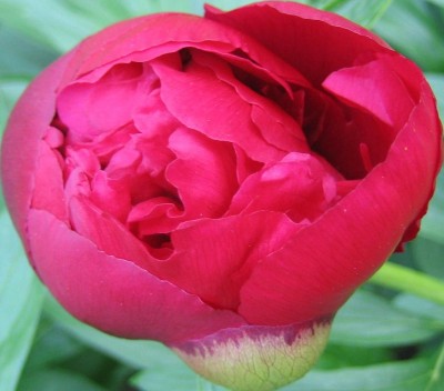 20100528_0001_8.JPG