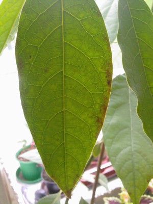 Foto-0109.jpg