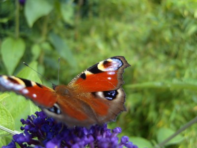 S1030223.JPG