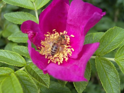 S1030226.JPG