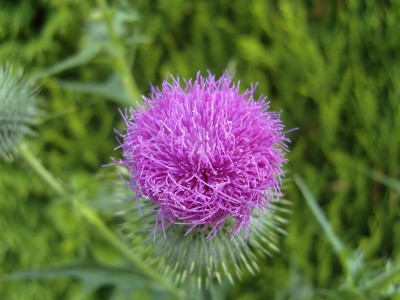 S1030233.JPG