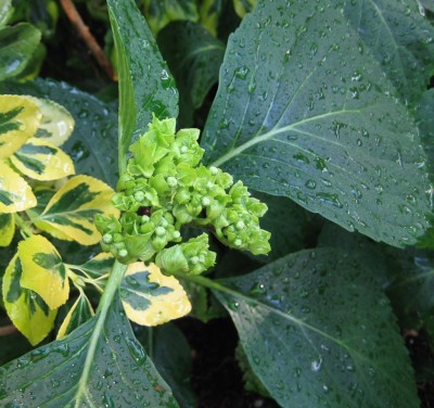 20100622_0001_9.JPG