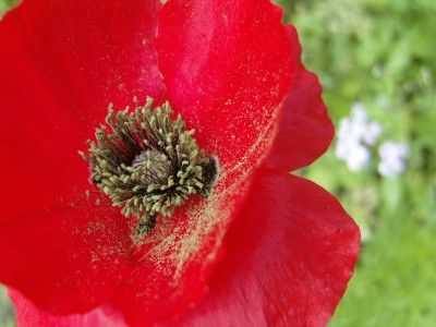 S1030244.JPG