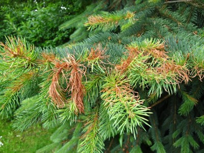 23.06.2010 027.JPG