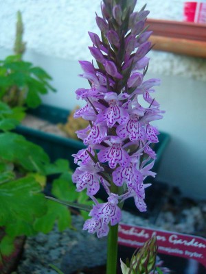 100D9280.JPG