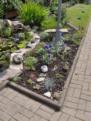 Neue Teichgartenpflanzen.jpg