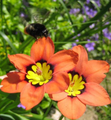 20100624_0001_3.JPG