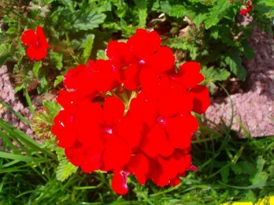 100D9370.JPG