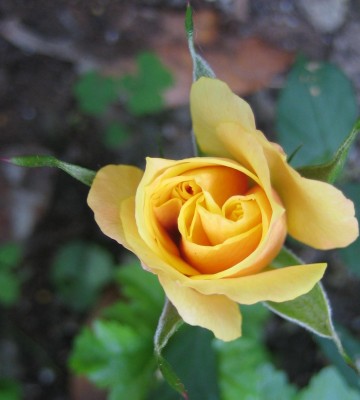 20100622_0001_4.JPG