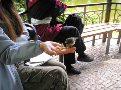 P6300095Vogel Hand 3.jpg
