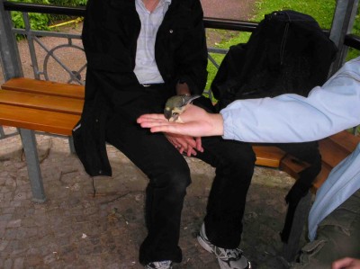P6300092Vogel Hand 4.jpg
