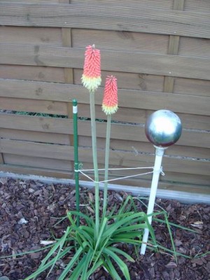 Meine Bilder 1190a.jpg