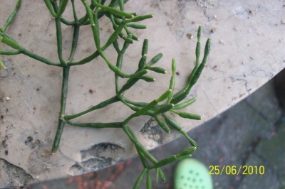 100_5316a.jpg