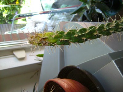 PICT0073.JPG