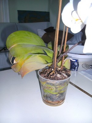 BILD2317.JPG