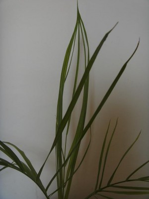 BILD0732.JPG