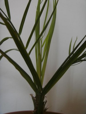 BILD0731.JPG