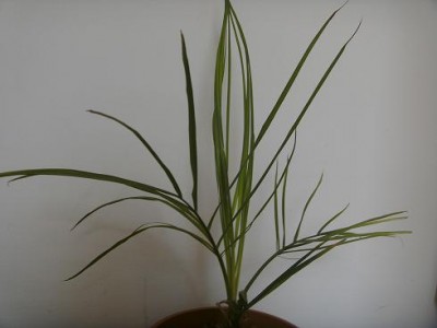 BILD0730.JPG