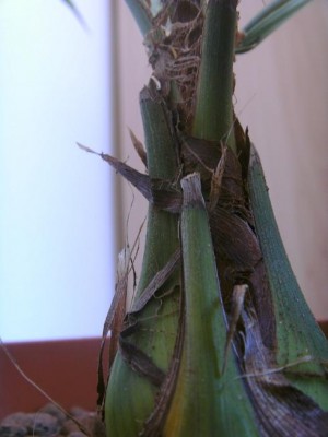 BILD0735.JPG