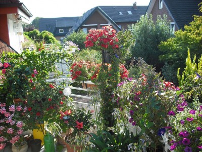 Balkon.JPG