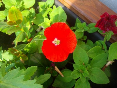 100D9527.JPG