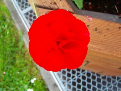100D9572.JPG