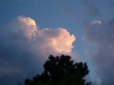 100D8984.JPG