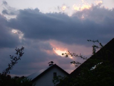 100D8985.JPG