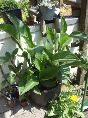 DSCF7555.JPG