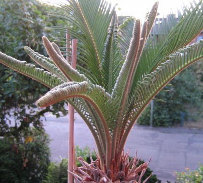 20100628_0001.JPG