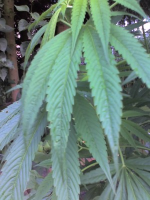 05-07-07_0713.jpg