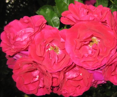 20100629_0001_14.JPG