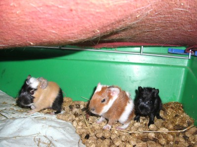 BILD1862.JPG