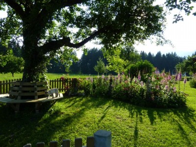 Silvio Lügenbank1.jpg