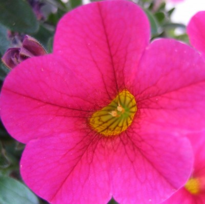 20100630_0001_6.JPG