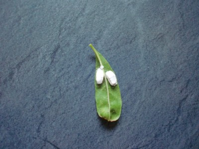 CIMG0858.JPG